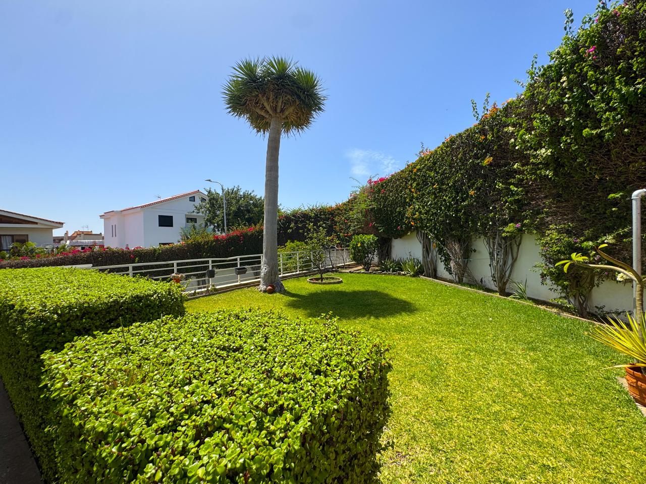 Garden of House or chalet for sale in  Santa Cruz de Tenerife Capital  with Private garden and Terrace