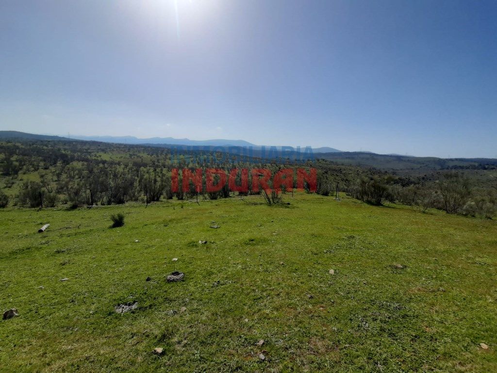 House or chalet for sale in Valdelacasa de Tajo