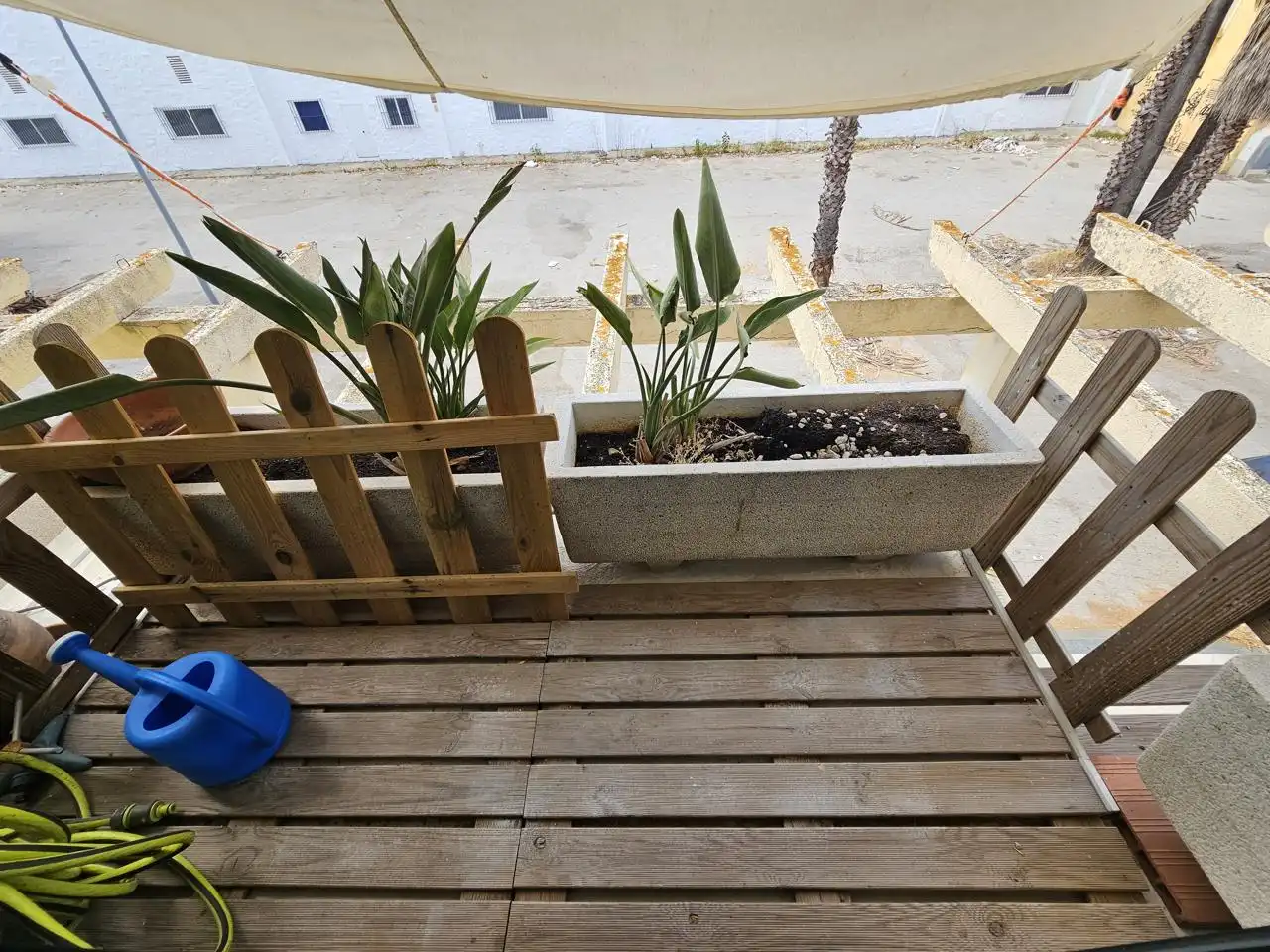 Lofts for rent in Avenida Lola Flores, Chapín - Campus Universitario - Navinco