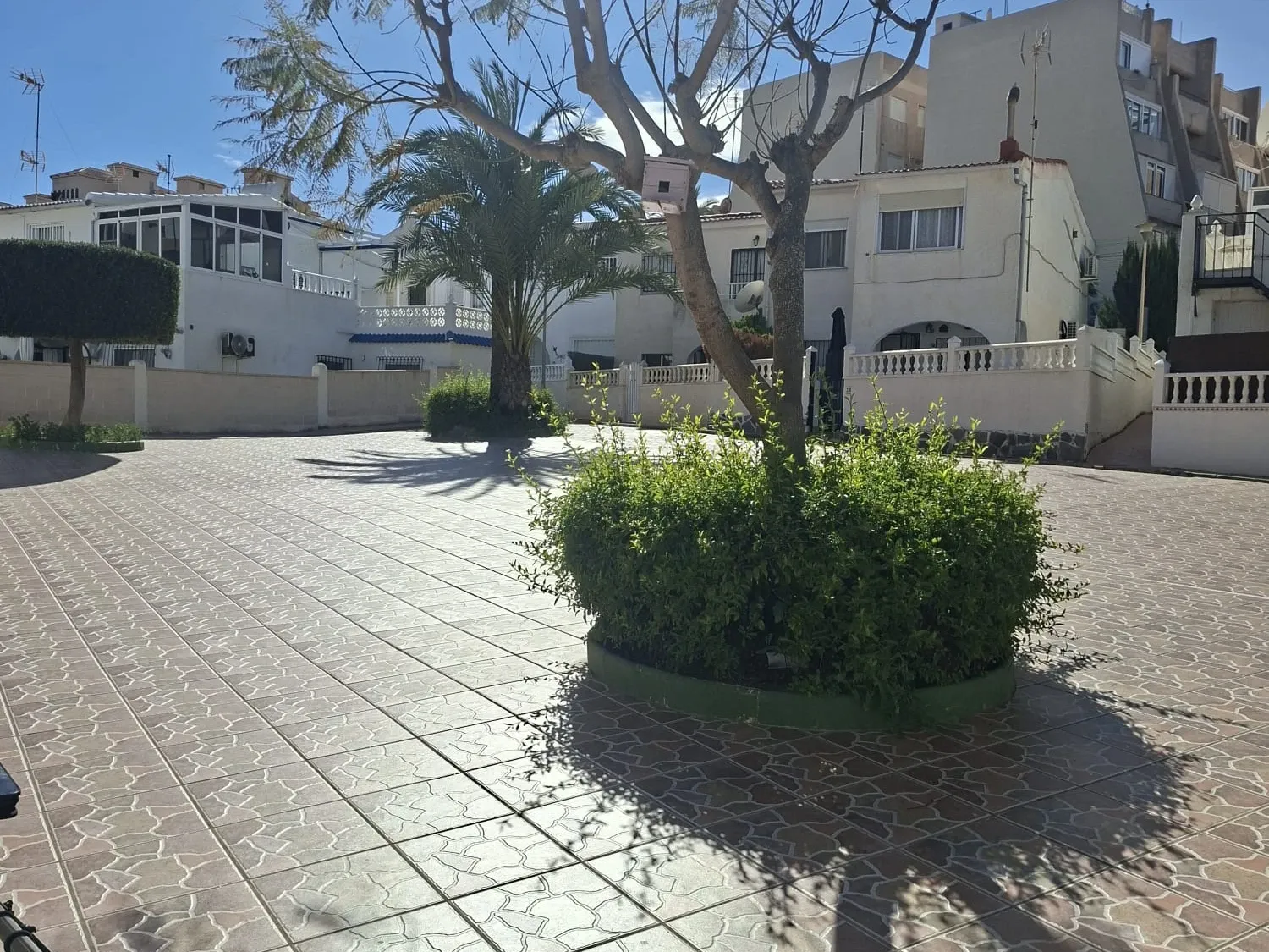 Vista exterior de Pis de lloguer en Torrevieja amb Aire condicionat, Terrassa i Moblat