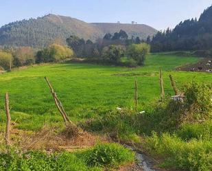 Land for sale in Llanes