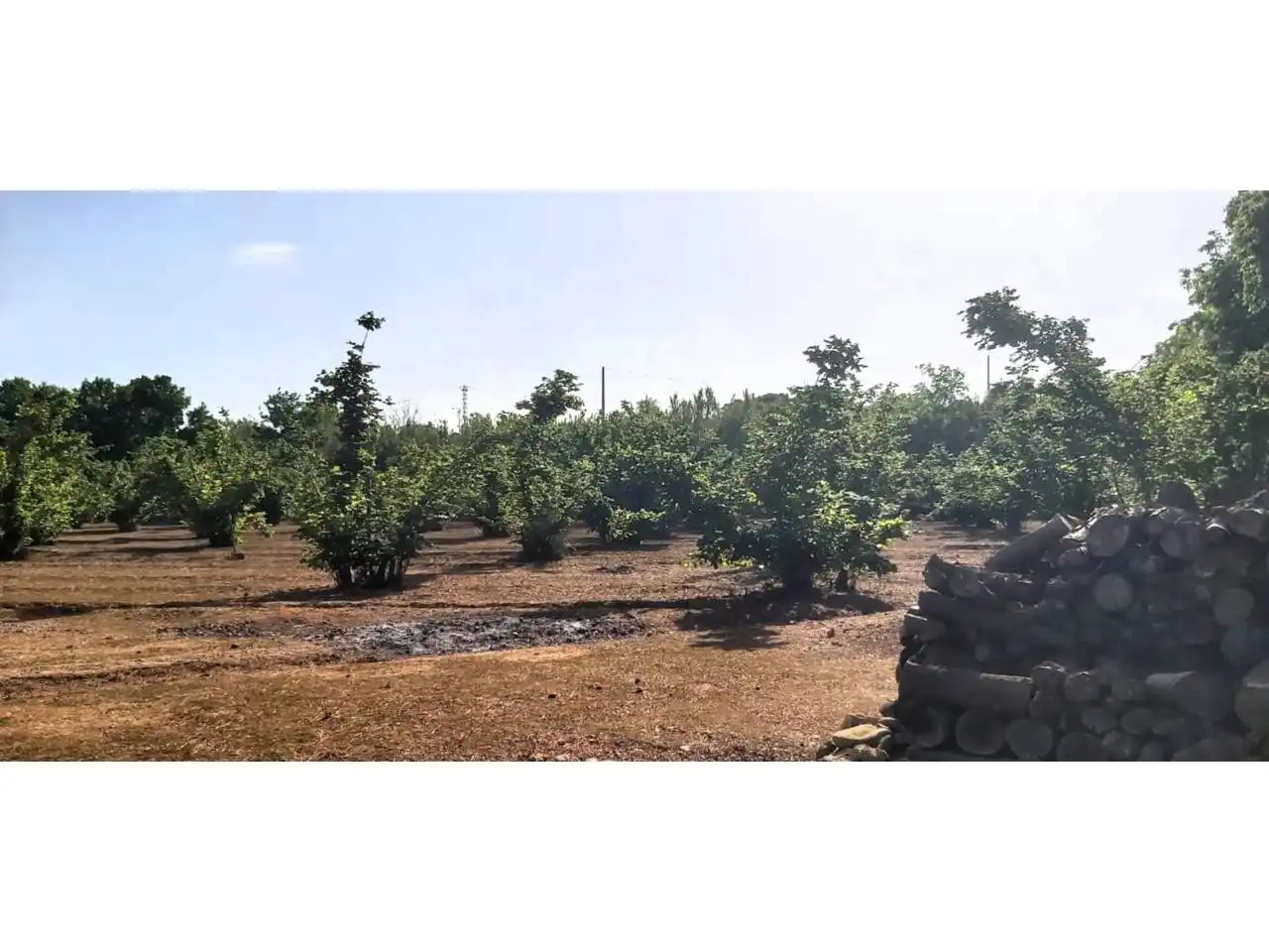 Terreny rústic en venda a Poligono 16, imagen 2