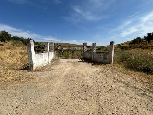 Terreno en Venta en Calzadilla