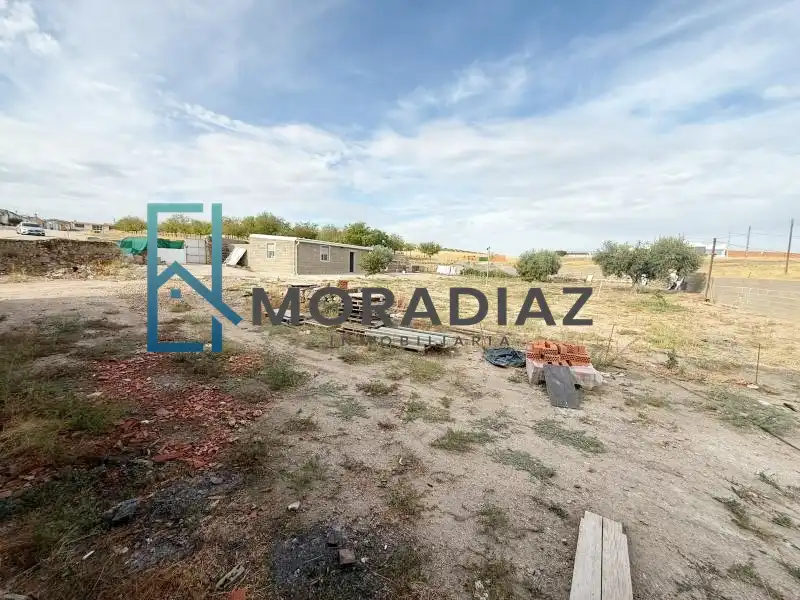 Villa in vendita a La Haba, imagen 13