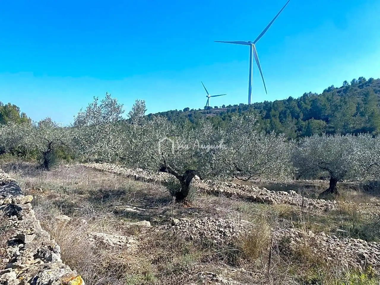 Terrain rustique à vendre à Calobres, imagen 10