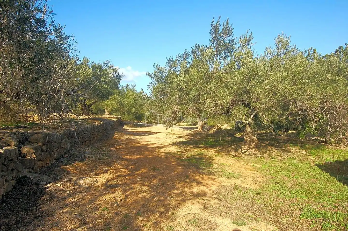 Terreno rustico in vendita a Masets, imagen 13
