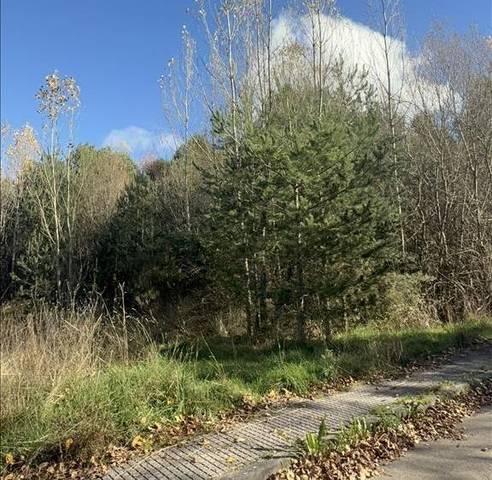 Terreno residencial en Venta en Avenida de Vegamian en Boñar