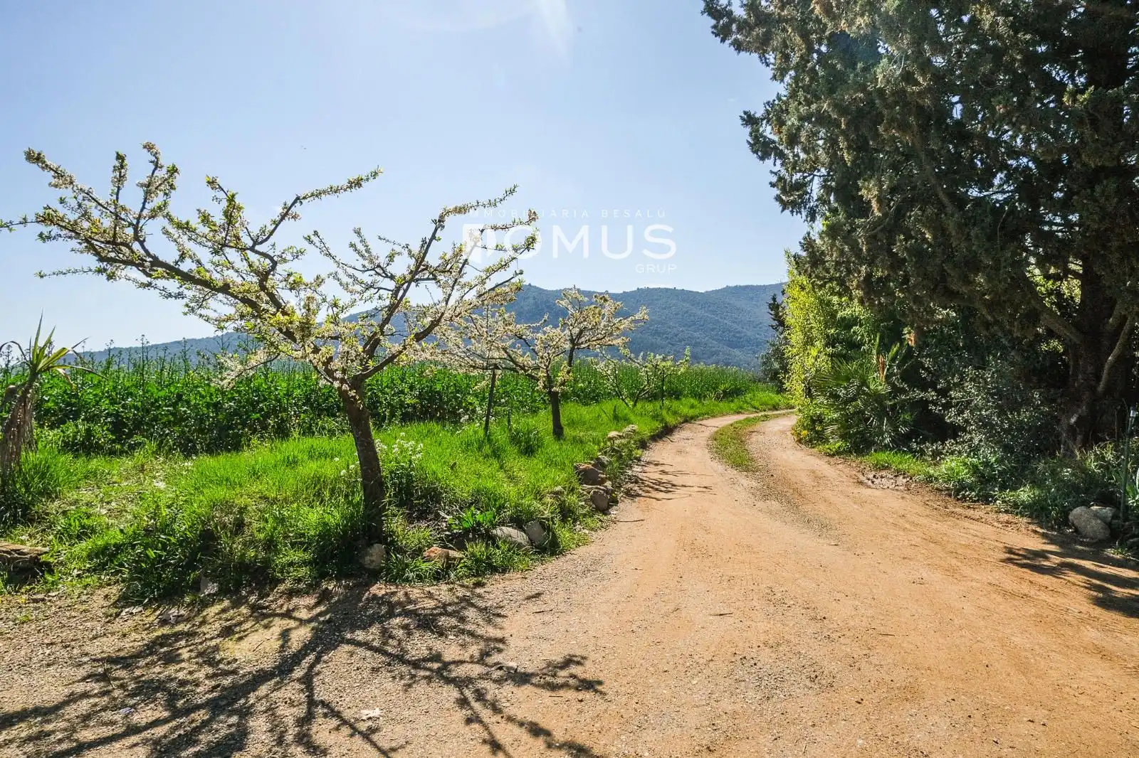 Finca rústica en venta en Besalú con Jardín privado