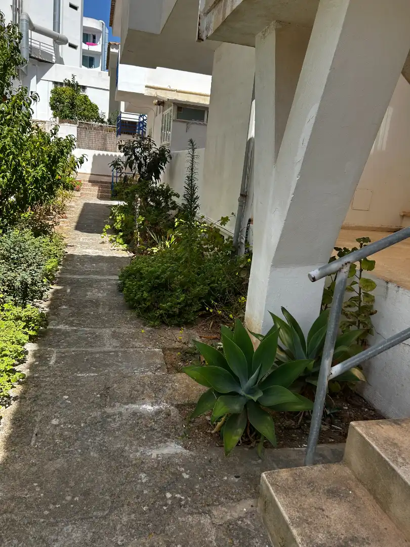 Garden of Flat for rent in  Palma de Mallorca  with Air Conditioner, Heating and Furnished