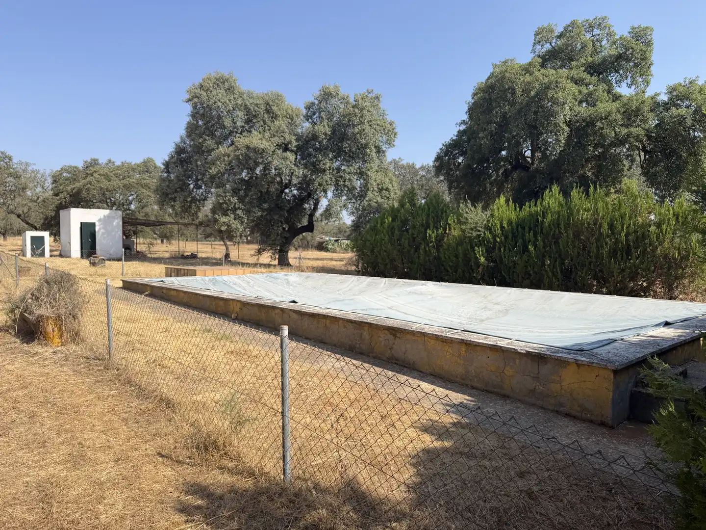 Piscina de Finca rústica en venta en Badajoz con Jardín privado, Terraza y Trastero