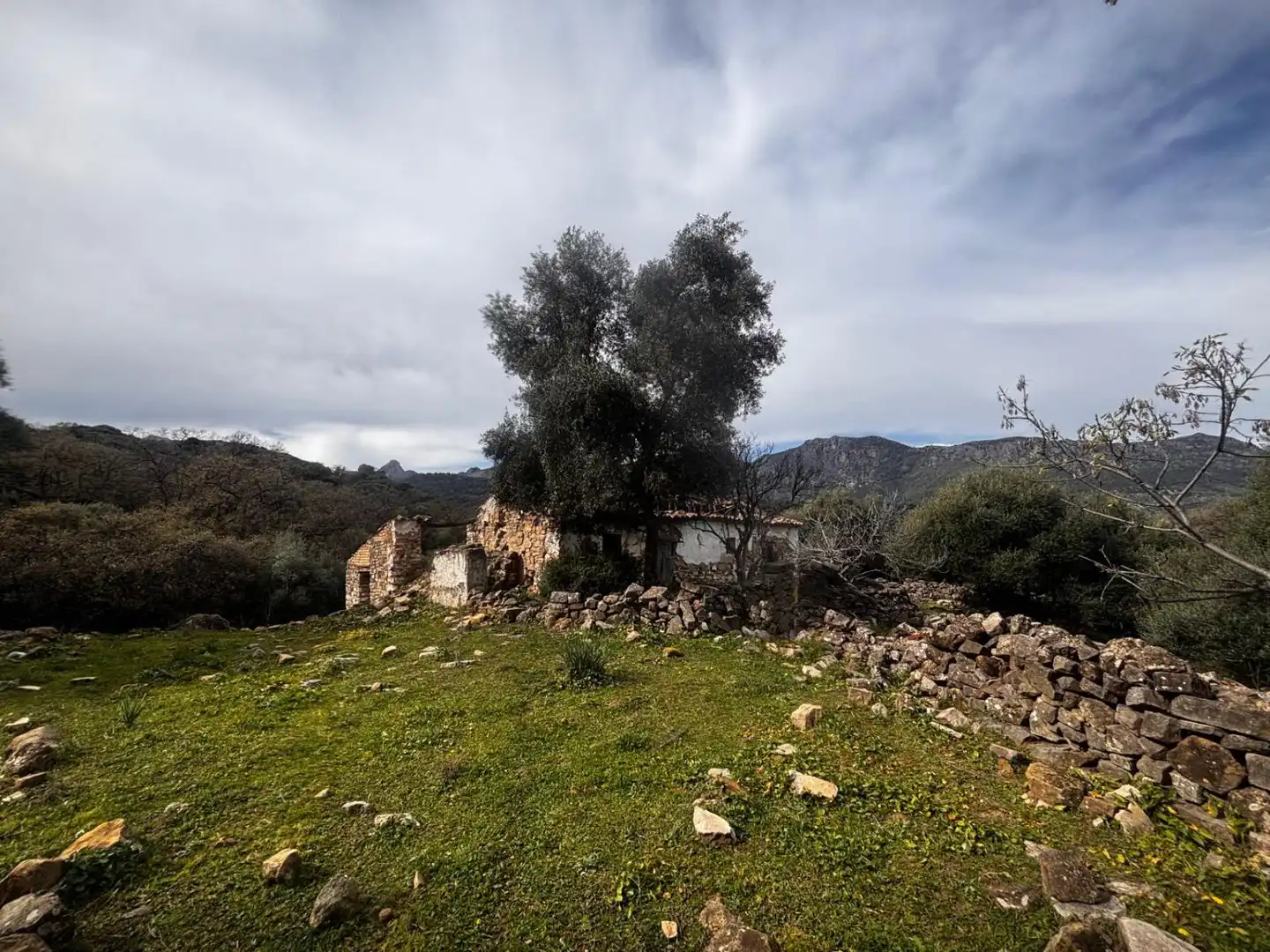 Terrenys i solars en venda a Grazalema, imagen 4