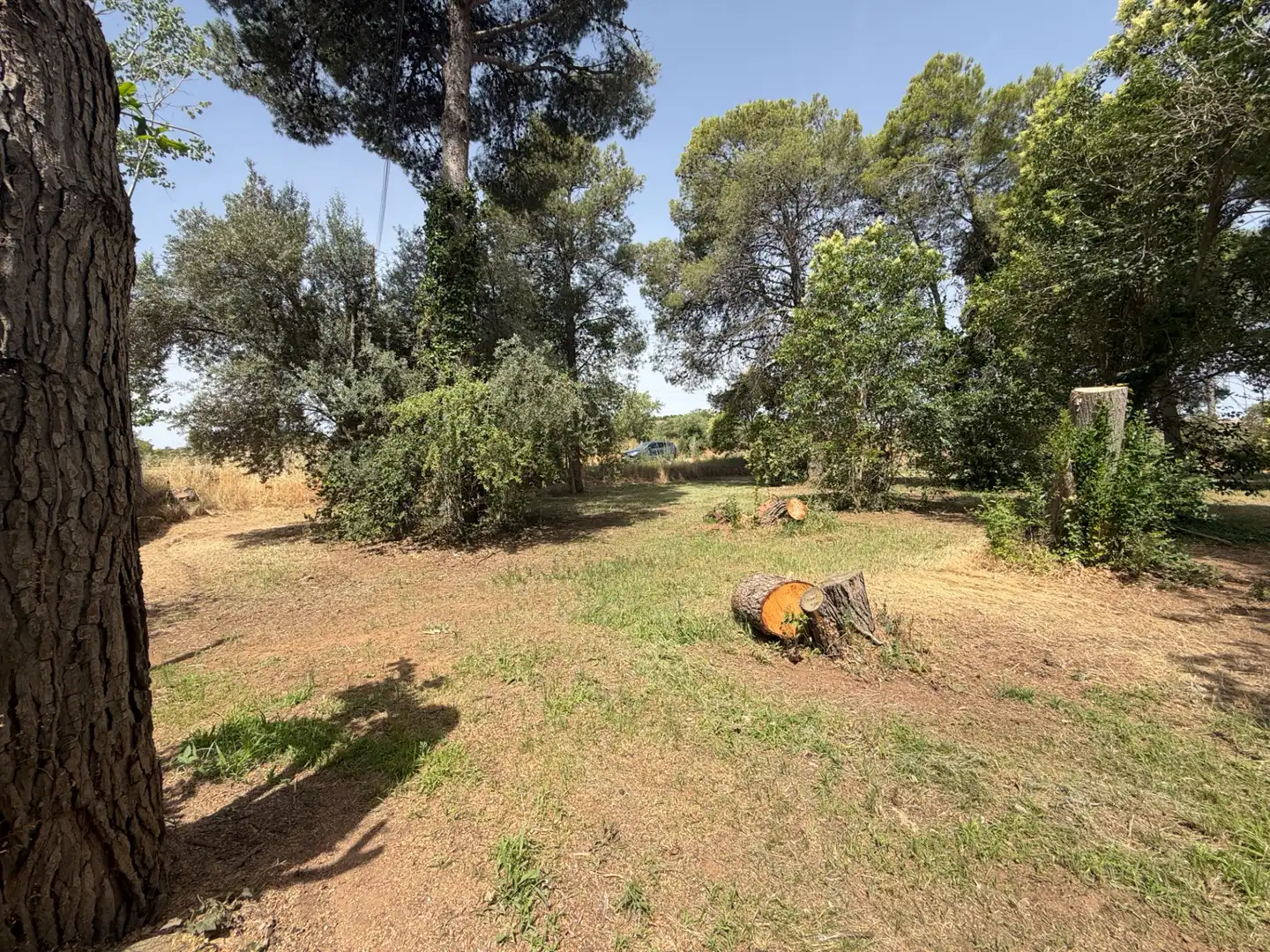 Residencial en venda a Camí de Lleida, 14, Els Alamús