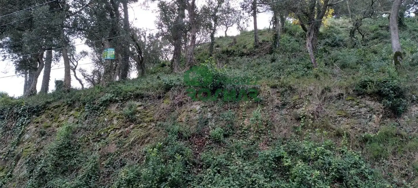 Terrenos y solares en venta en Serra Brava, imagen 4