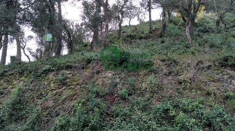 TERRENO EDIFICABLE DE 1.405 M EN SERRA BRAVA  LLORET DE MAR, imatge 4