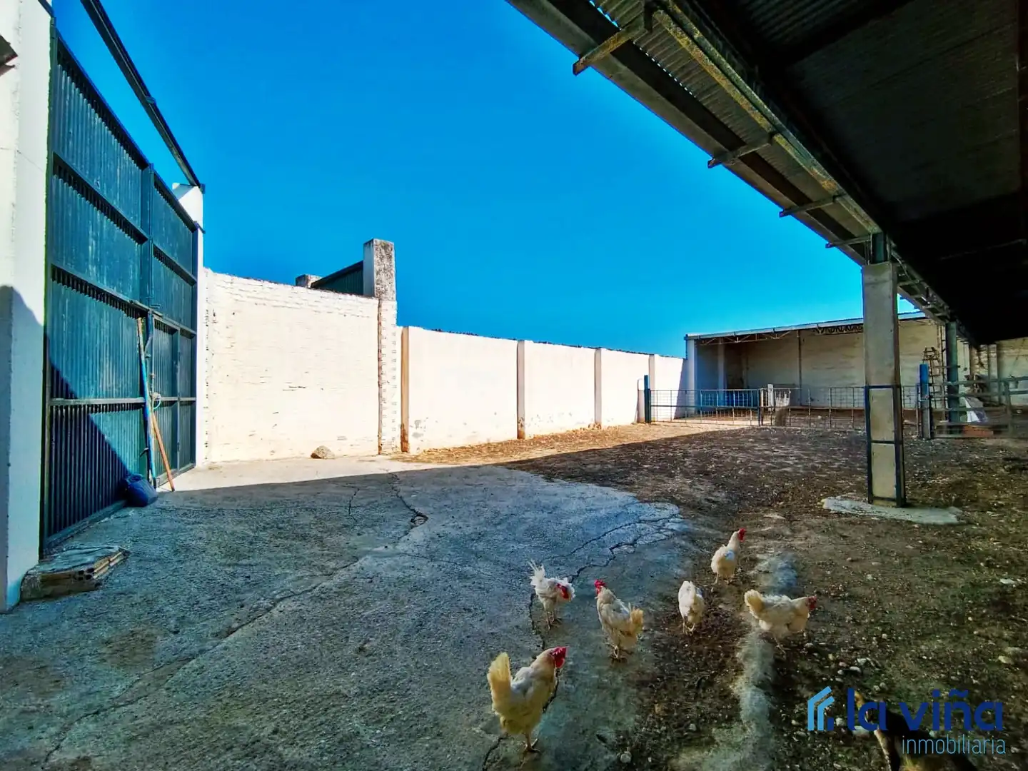 Terrenos y solares en venta en Alameda, imagen 8