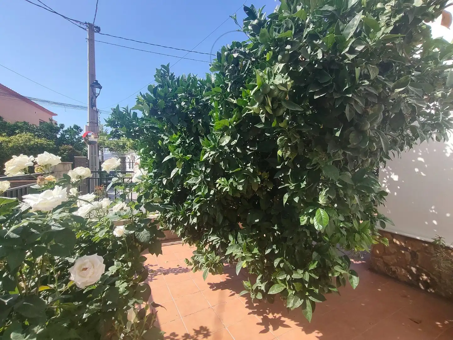 House with terrace for sale in Barrio RUMAILA 1, imagen 52