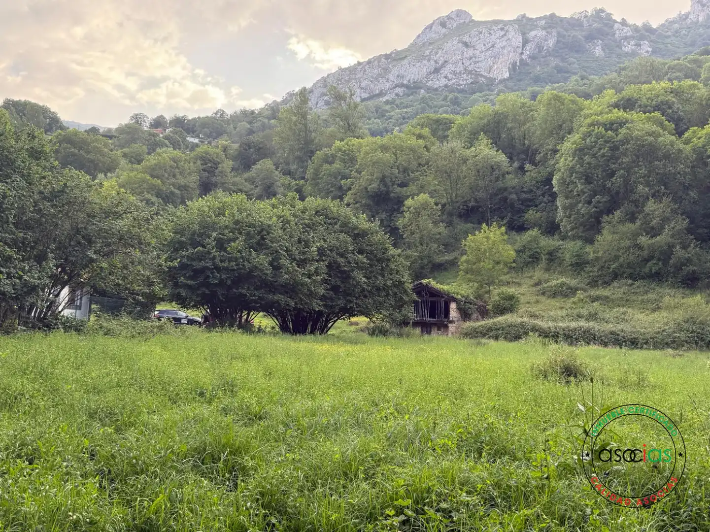 Land for sale in Quirós