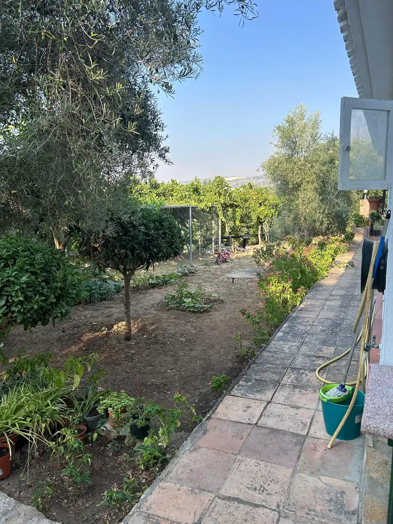 Garden of Country homes for sale in Ronda  with Air Conditioner, Private garden and Furnished