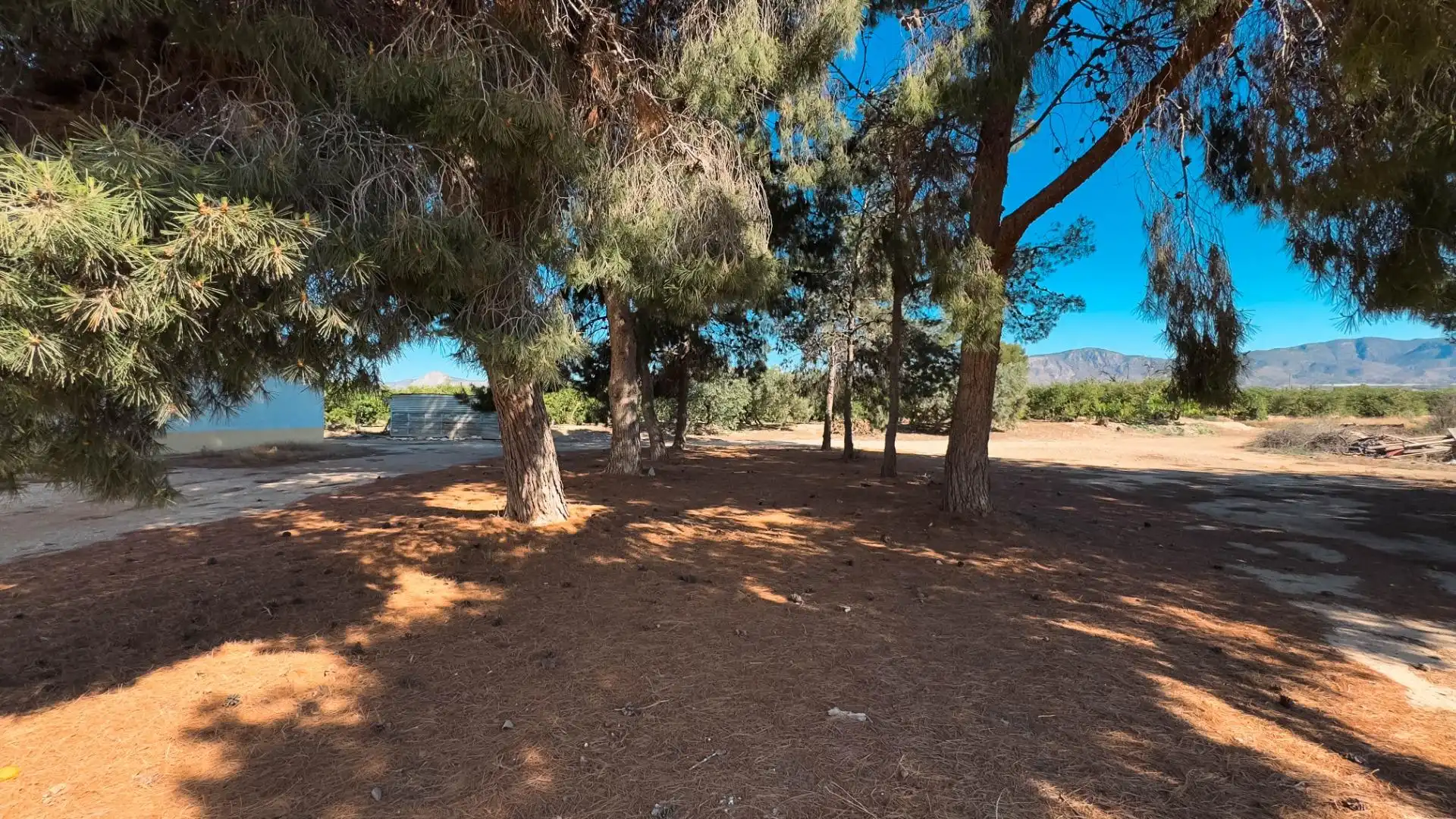 Casa adosada en venta en Albatera
