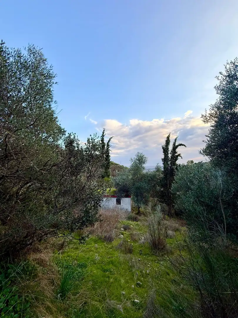 Casa en venda a Almodóvar del Río, imagen 13
