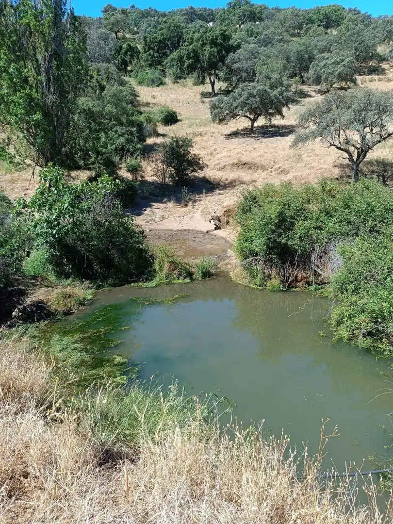 Terreni e lotti in vendita a Cazalla de la Sierra, imagen 13