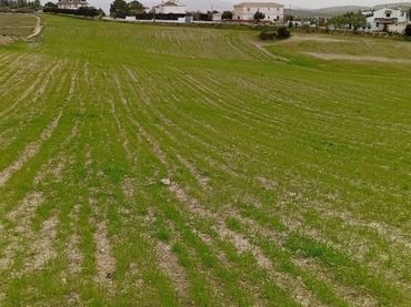 Terreno rustico in vendita a Polígono Poligono