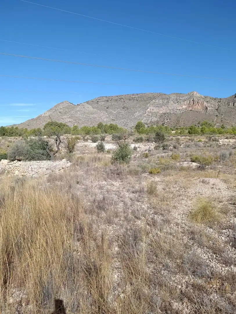 Terreno rustico in vendita a Hondón de las Nieves / El Fondó de les Neus, imagen 11