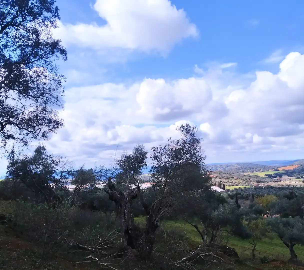 Terreni e lotti in vendita a Jerez de los Caballeros, imagen 10