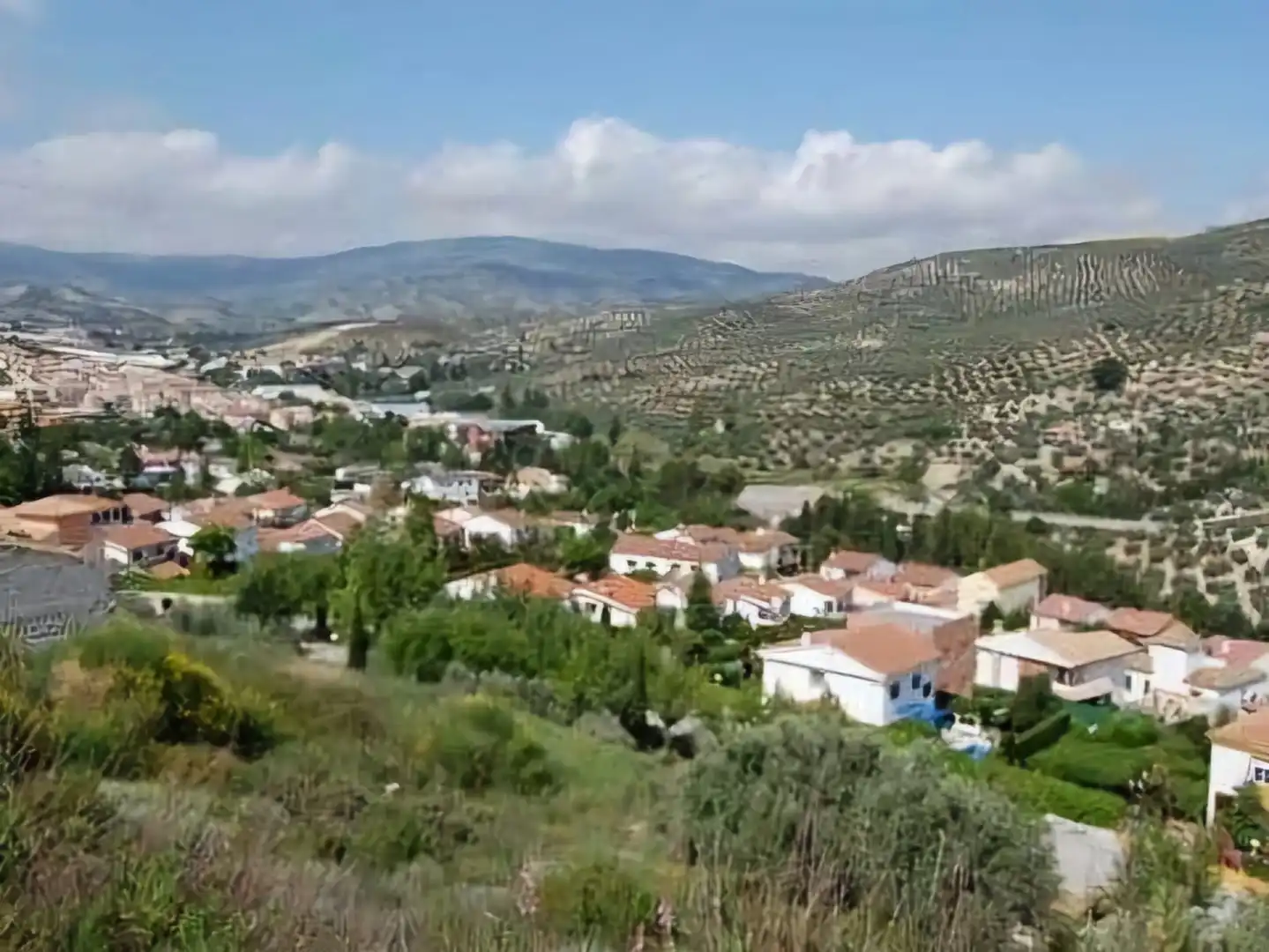 Terreni e lotti in vendita a Los Villares