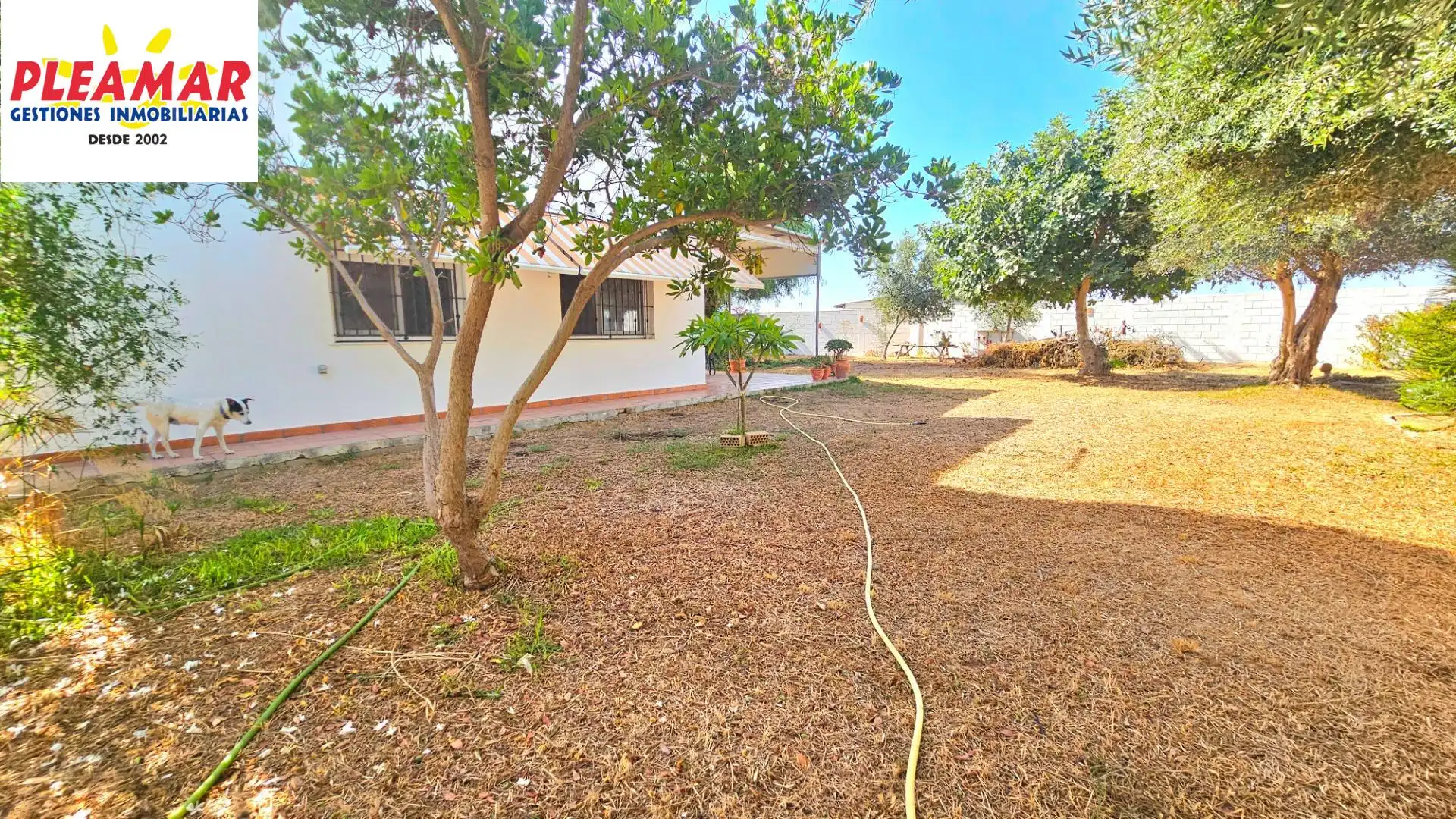Casa rustica in vendita a Las Tres Piedras - Costa Ballena, imagen 6
