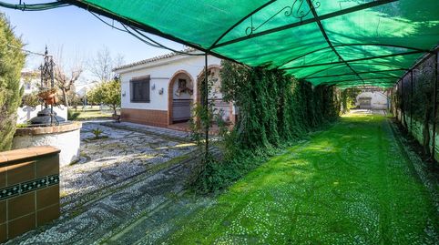Foto 3 de Casa o chalet en venta en Calle Caño Palo, Ogíjares, Granada