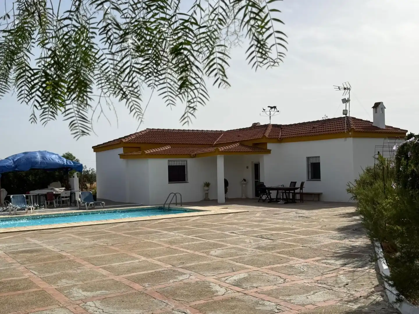 Xalet amb piscina en venda a 5 Urbanización los Jinetes 1 Fase, imagen 3