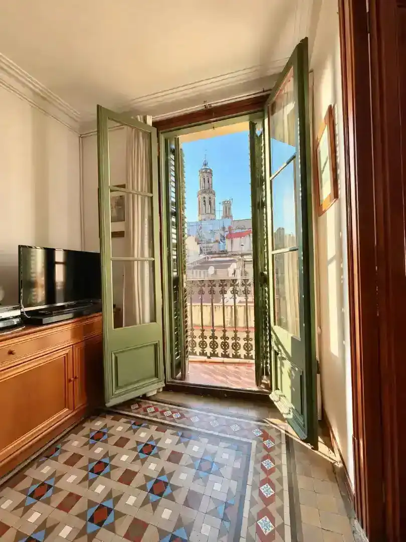 Flat with terrace for sale in Pla de Palau, imagen 29