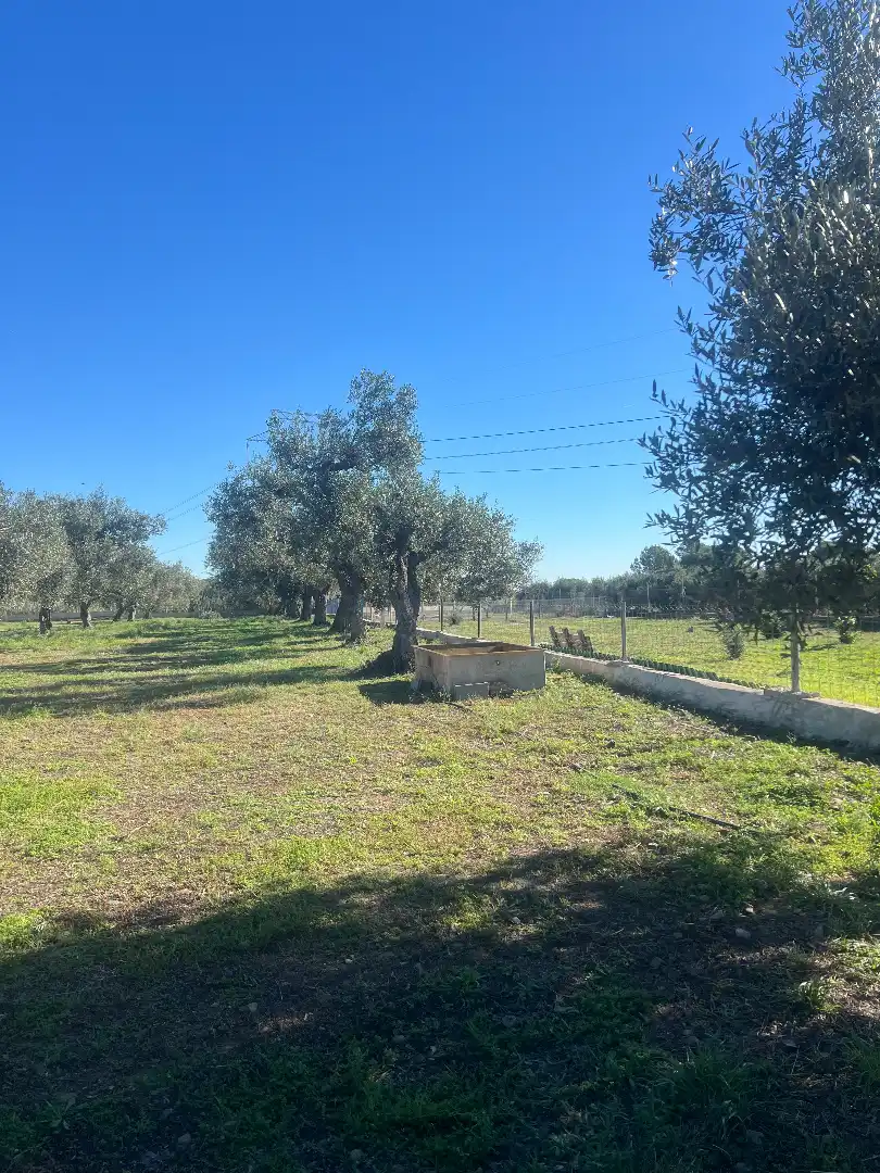 Finca rústica en venta en Botarell con Jardín privado, Trastero y Amueblado