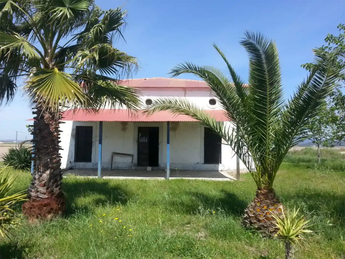 Vista exterior de Finca rústica en venta en Miajadas