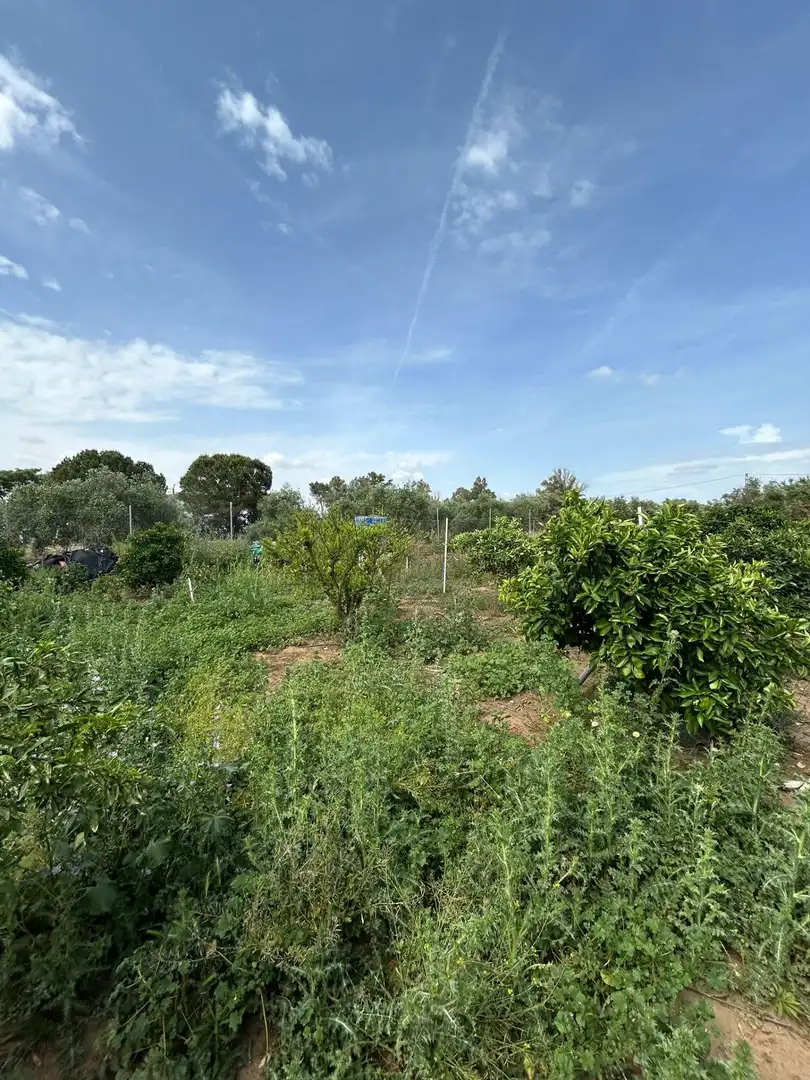 Finca rústica en venta en Utrera