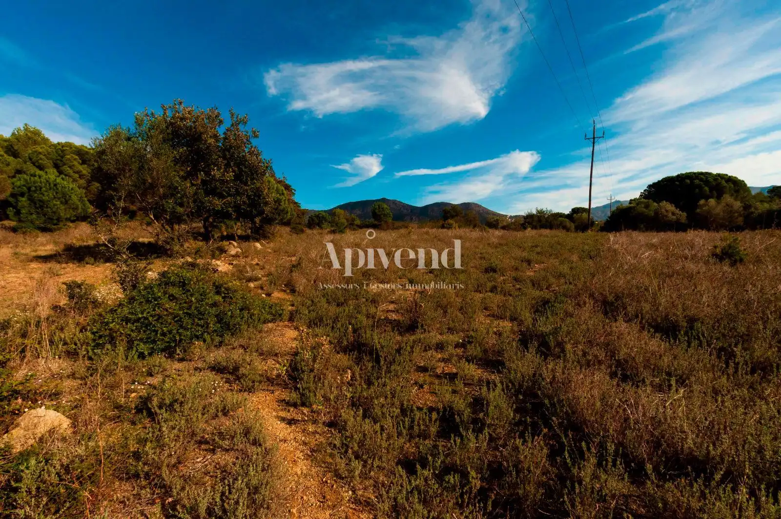 Rural land for sale in Molí de Vent, imagen 11
