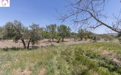 Land for sale in  Granada Capital
