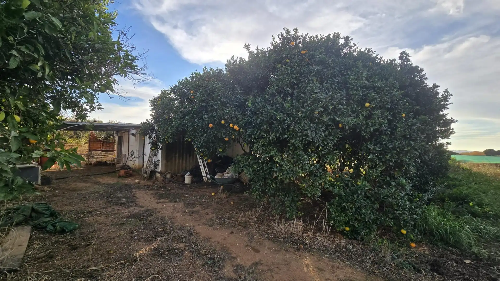 Land for sale in Los Franceses – La Vega
