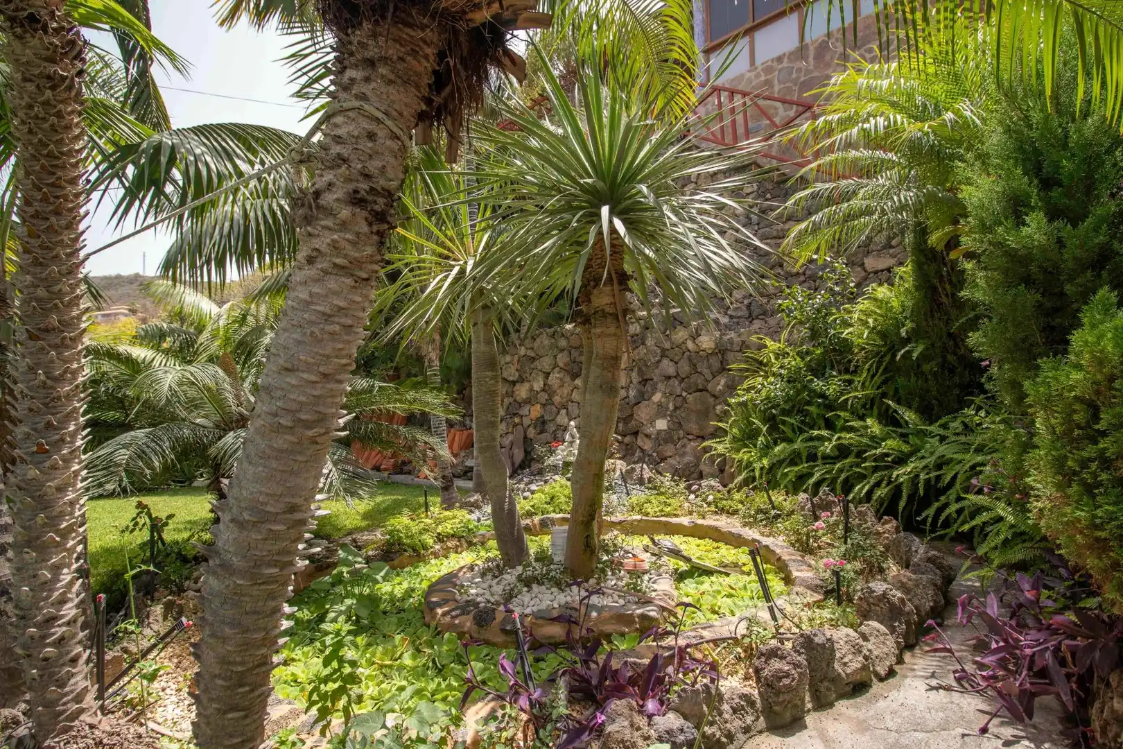 Jardí de Casa o xalet en venda en Icod de los Vinos amb Jardí privat, Terrassa i Traster
