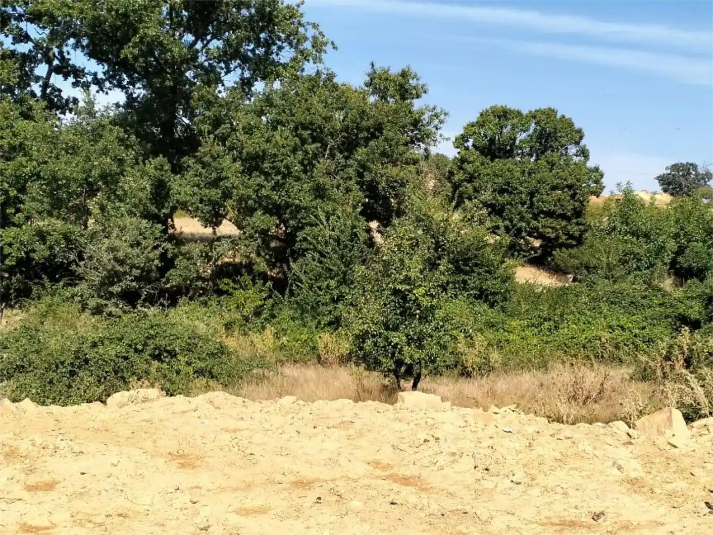 Terreno en venta en Ayoó de Vidriales