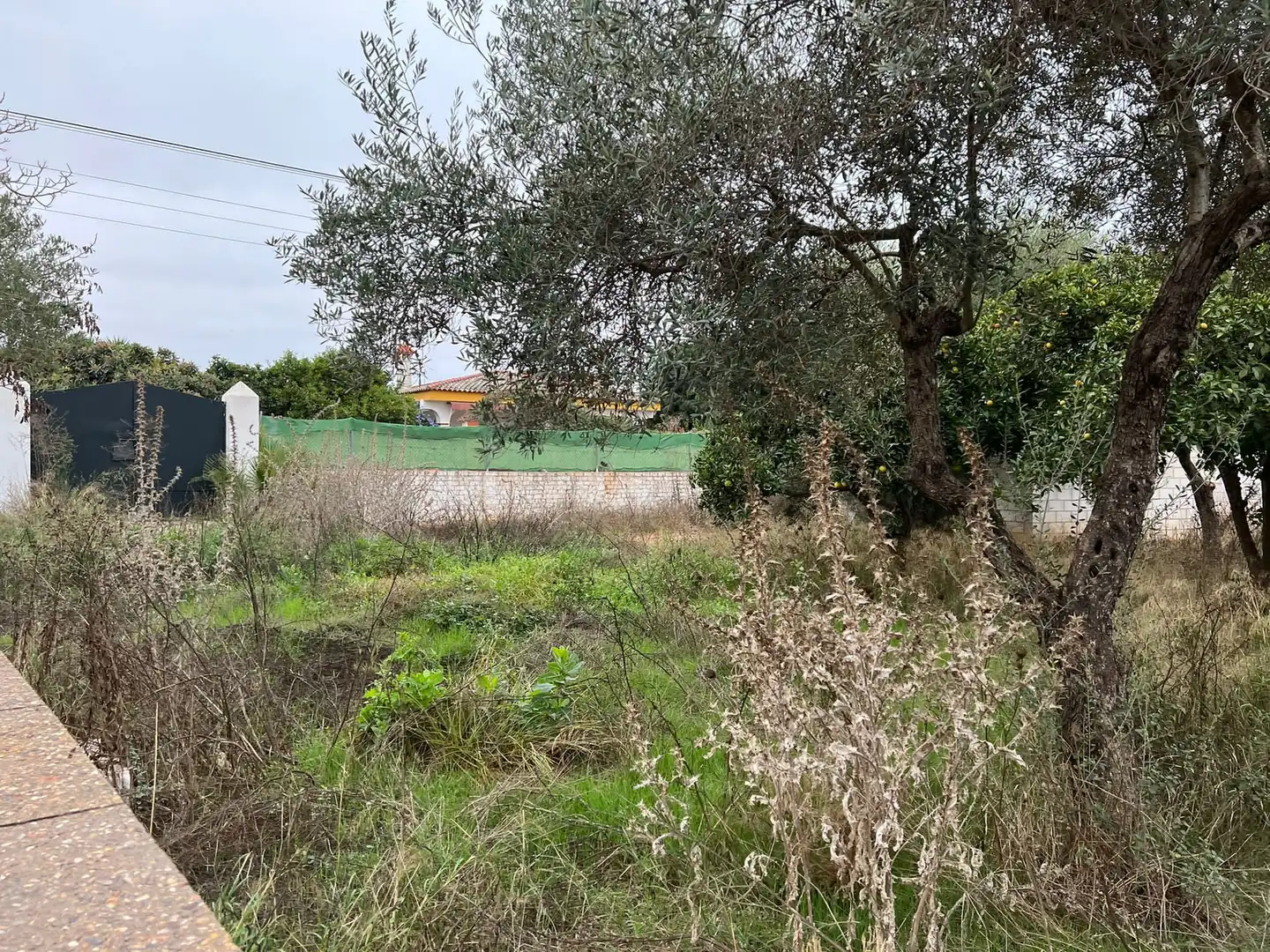 Terrain rustique à vendre à Urbanización Jimena M, imagen 10