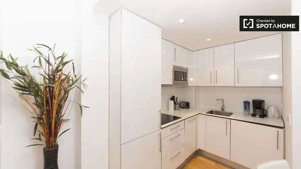 Appartamento con terrazza in affitto a Barrio de Salamanca, imagen 11