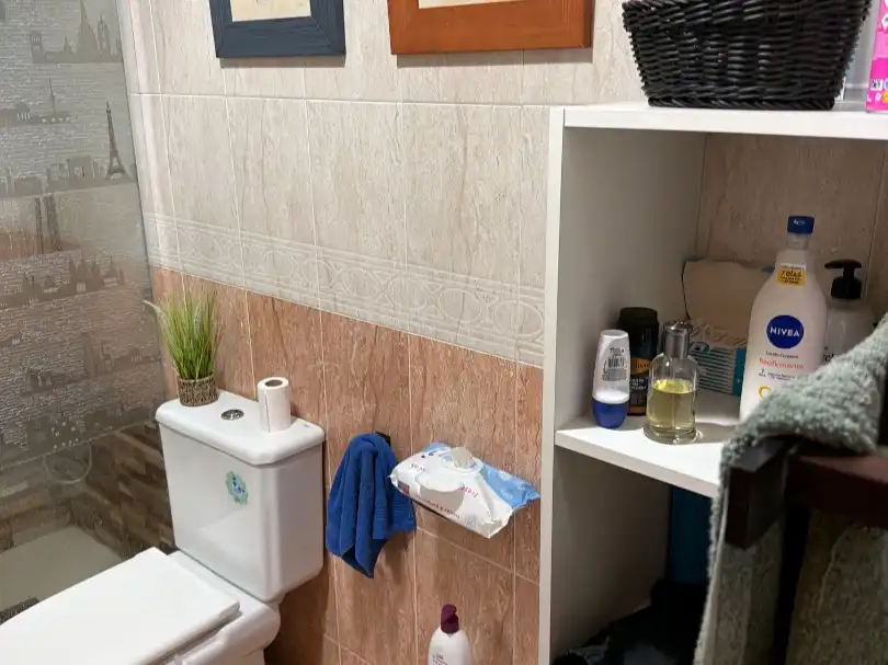 Bany de Casa o xalet en venda en El Ejido amb Aire condicionat, Jardí privat i Terrassa