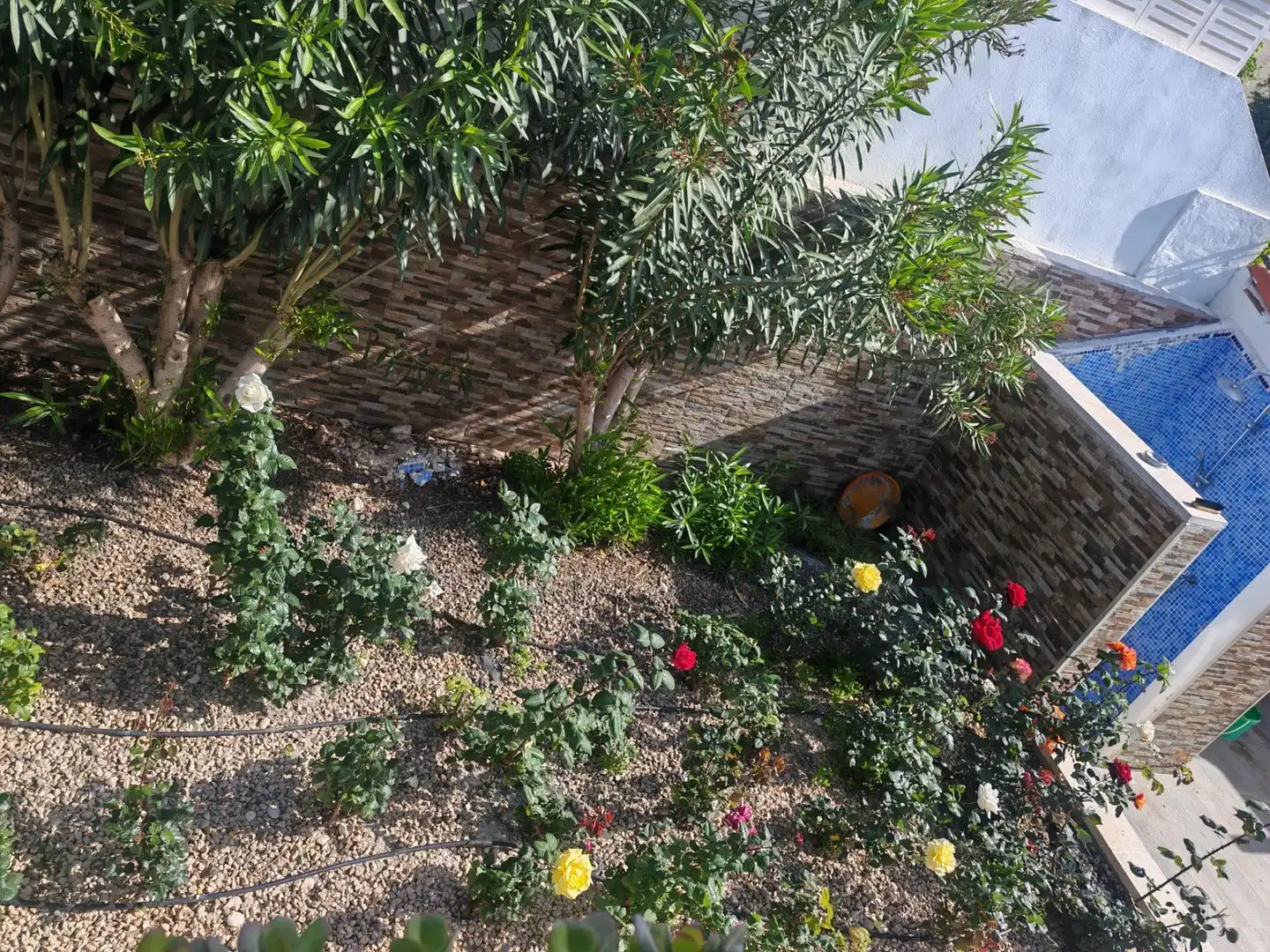 Jardí de Casa o xalet en venda en Calpe / Calp amb Aire condicionat, Calefacció i Jardí privat