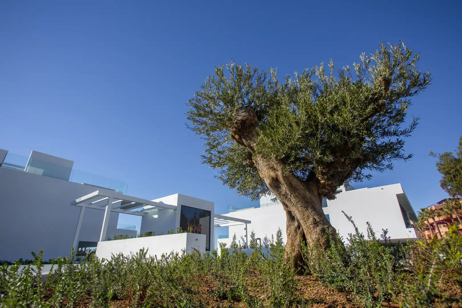 Maison avec terrasse à vendre à Milla de Oro, imagen 48