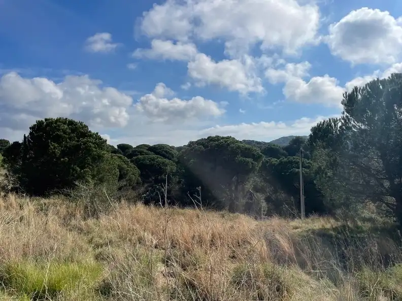Terreno residenziale in vendita a Carrer Valldolig, imagen 10