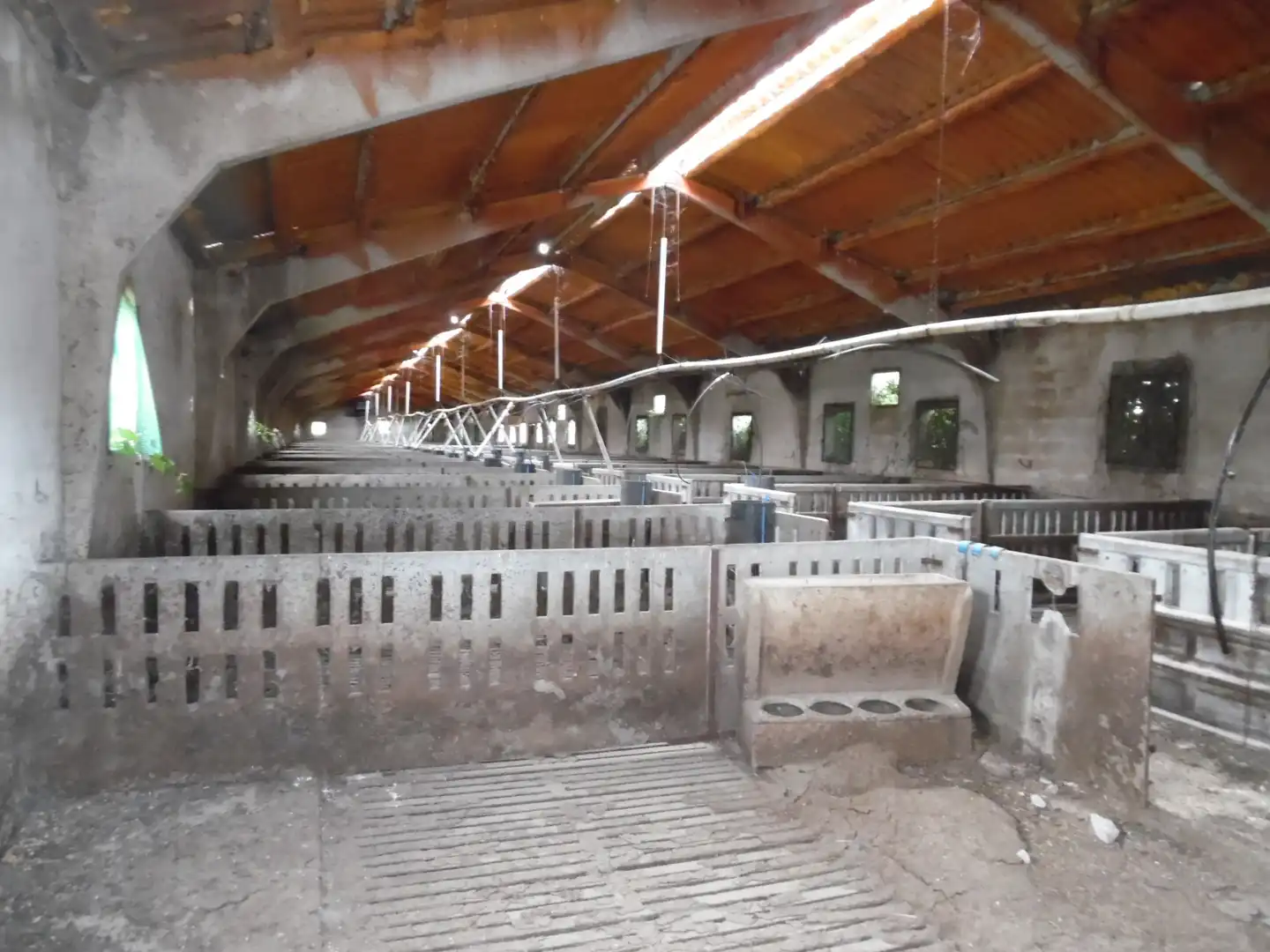 Nave industrial in vendita a PR EL SOLANO, imagen 9