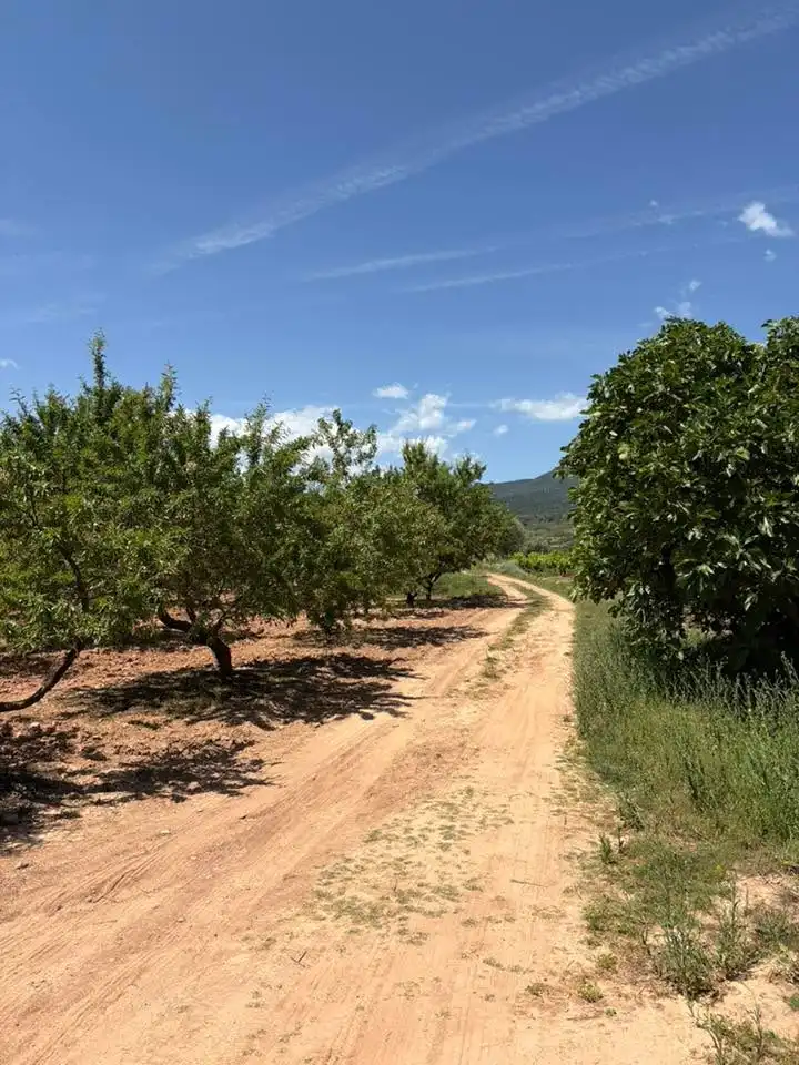 Außenansicht von Grundstücke zum Verkauf in Sorzano