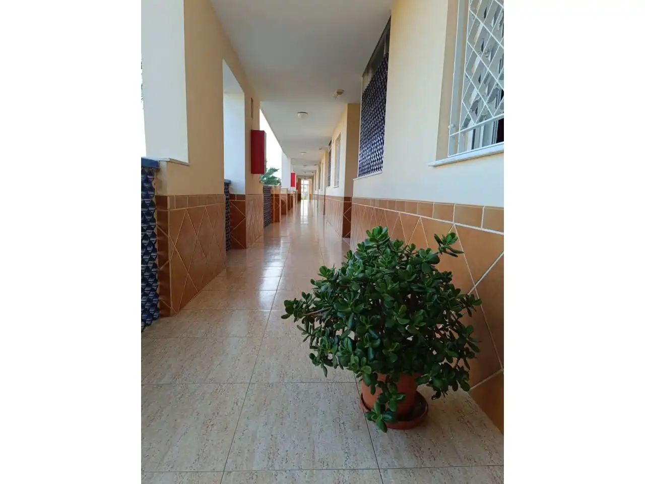 Piso en venta en El Ejido con Aire acondicionado, Calefacción y Terraza